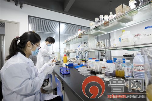 科技賦能農(nóng)業(yè) 煙臺固特麗生物科技股份在基層農(nóng)技推廣與鄉(xiāng)村建設中的計算機系統(tǒng)服務實踐