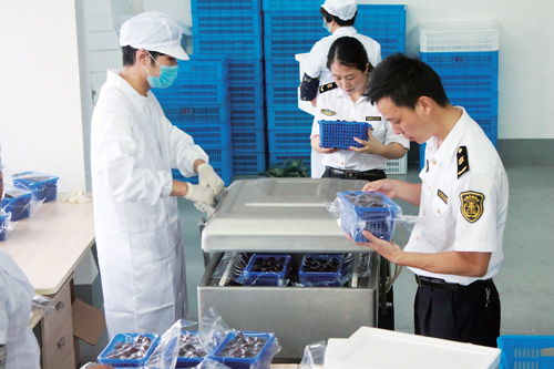 科技賦能農(nóng)業(yè) 山東省博興縣以現(xiàn)代技術與計算機系統(tǒng)服務推動農(nóng)業(yè)升級